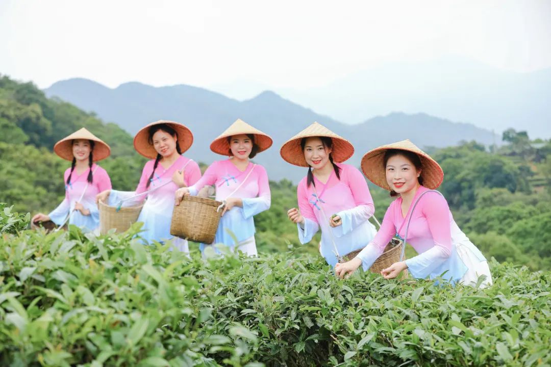 阳江市文旅行业“助力百千万工程”和振兴乡村旅游走访扶持单位采风之旅