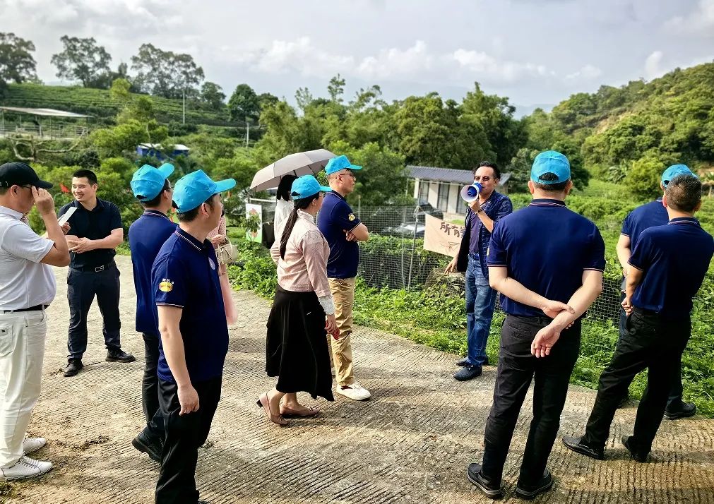 阳江市文旅行业“助力百千万工程”和振兴乡村旅游走访扶持单位采风之旅
