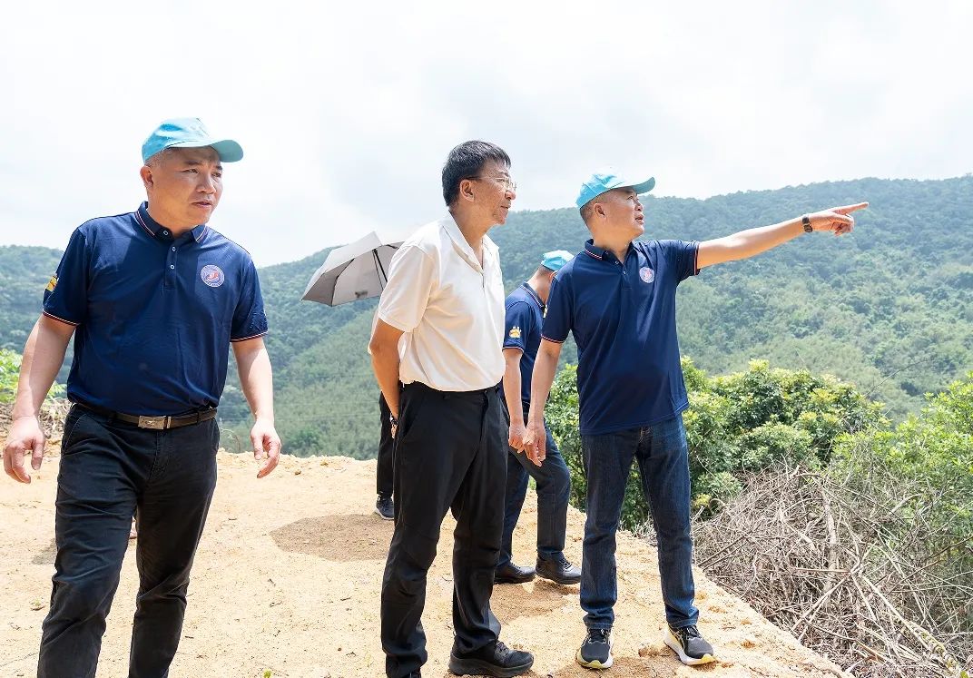 文旅赋能 激活乡村振兴“一池春水”