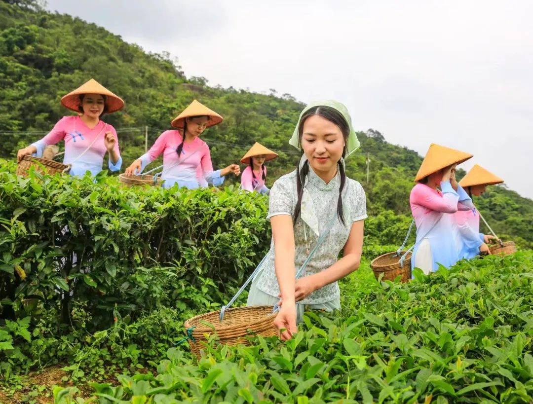 文旅赋能 激活乡村振兴“一池春水”