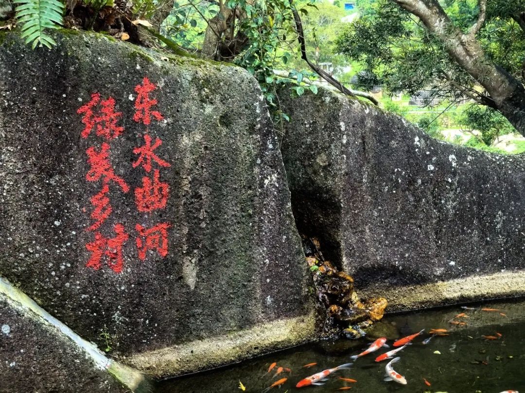 阳江市文旅行业“助力百千万工程”和振兴乡村旅游走访扶持单位采风之旅