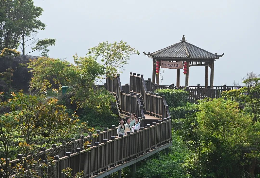 文旅赋能 激活乡村振兴“一池春水”